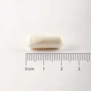 Lamberts L-Glutamina 500 mg - 90 Cápsulas