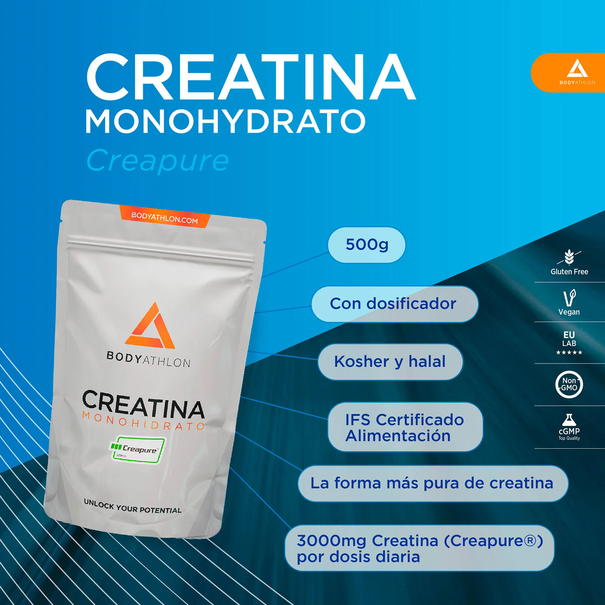 Bodyathlon - Creatina CREAPURE Polvo 500g- 166 Porciones- Calidad garantizada- 3000mg Creatina Monihidratada Creapure en polvo pura- Aumenta tu masa muscular- Sin sabor- Con dosificador