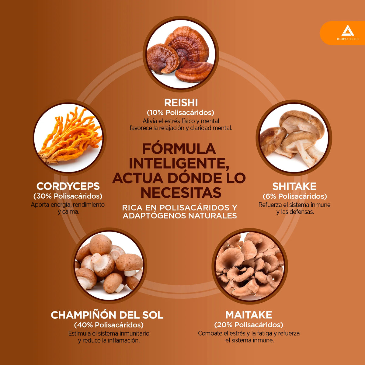 Mushroom Complex 120 comprimidos- Reishi shitake y maitake+ Champiñon del Sol+ Cordyceps| Hongos adaptógenos- Estrés, memoria y concentración- Complejo Super Hongos con Polisacaridos- Bodyathlon