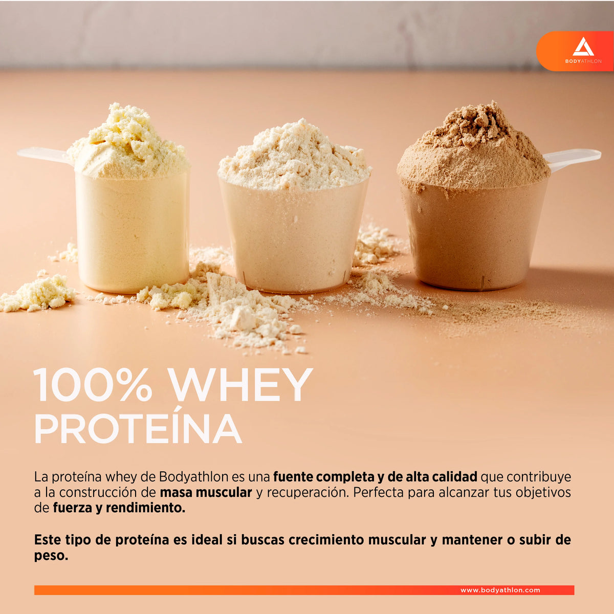 Whey Protein Vainilla– Proteina Vainilla en Polvo- Proteina para Ganar Masa Muscular– Proteina de Suero de Leche- Proteina para Masa Muscular- Sin lecitina de soja- Apta para Vegetarianos- Bodyathlon