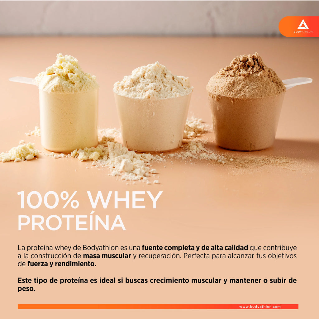 Whey Protein Chocolate– Proteina en Polvo Chocolate- Proteina para Ganar Masa Muscular– Proteina de Suero de Leche- Proteina para Masa Muscular- Sin lecitina de soja- Apta para Vegetarianos- Bodyathlon
