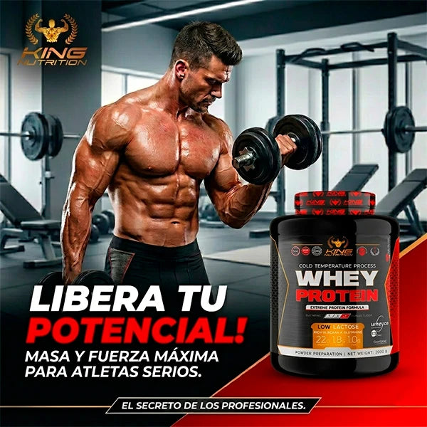 King Nutrition Whey Protein 2kg Proteina Concentrada + 200g de creatine monohydrate