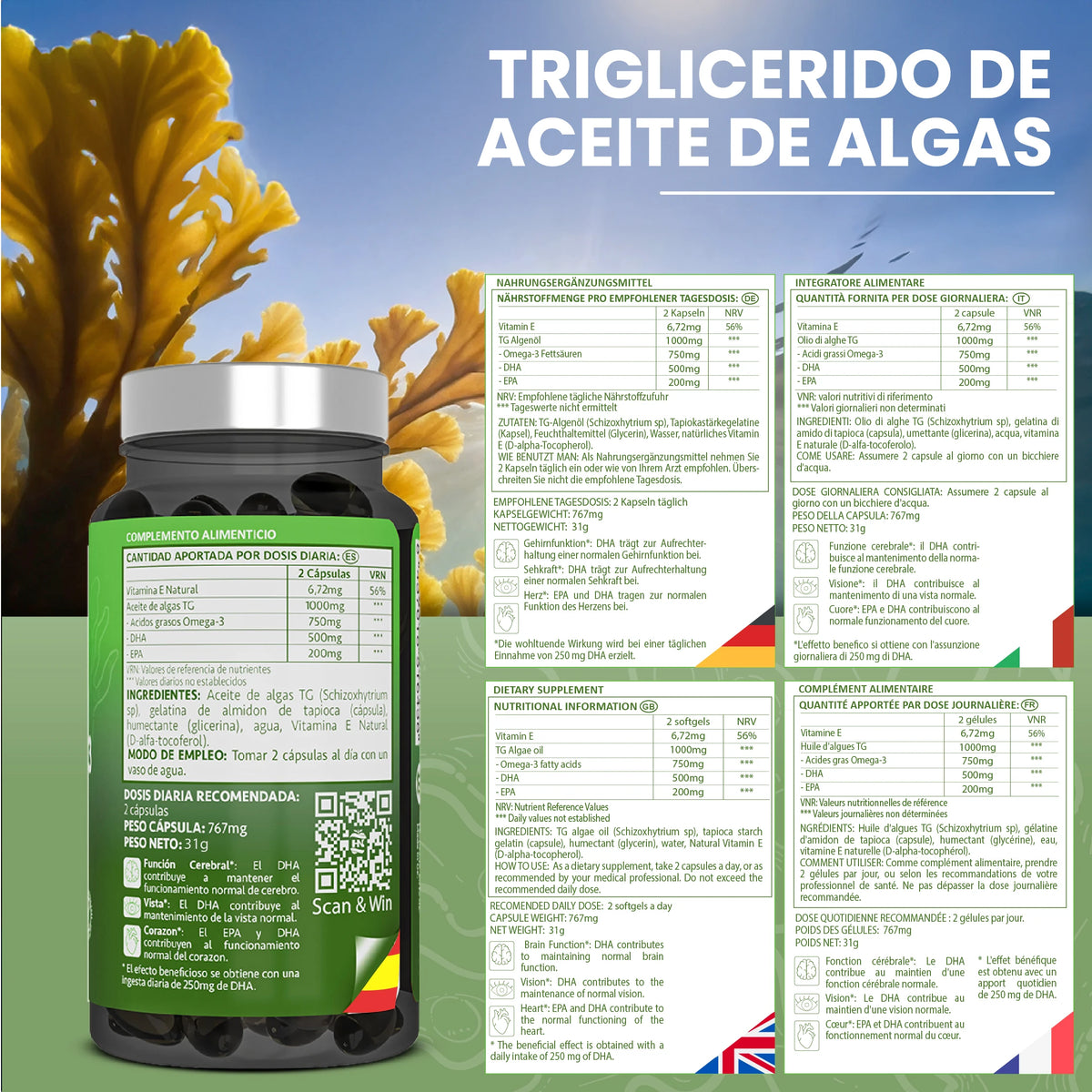 HN Healthy Nutrition Omega 3 Vegano (Aceite de Algas) EPA & DHA - 40 Cápsulas Blandas - Complemento Alimenticio