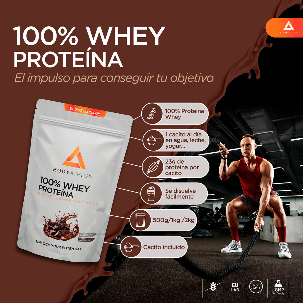 Whey Protein Chocolate– Proteina en Polvo Chocolate- Proteina para Ganar Masa Muscular– Proteina de Suero de Leche- Proteina para Masa Muscular- Sin lecitina de soja- Apta para Vegetarianos- Bodyathlon