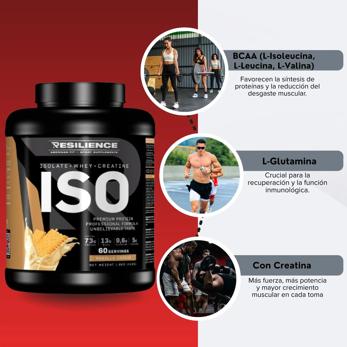 Resilience- Proteina Whey con Creatina - Proteína Con BCAA y GLUTAMINA - para Fuerza, Volumen y Recuperación Vainilla Coockie 1.8 KG