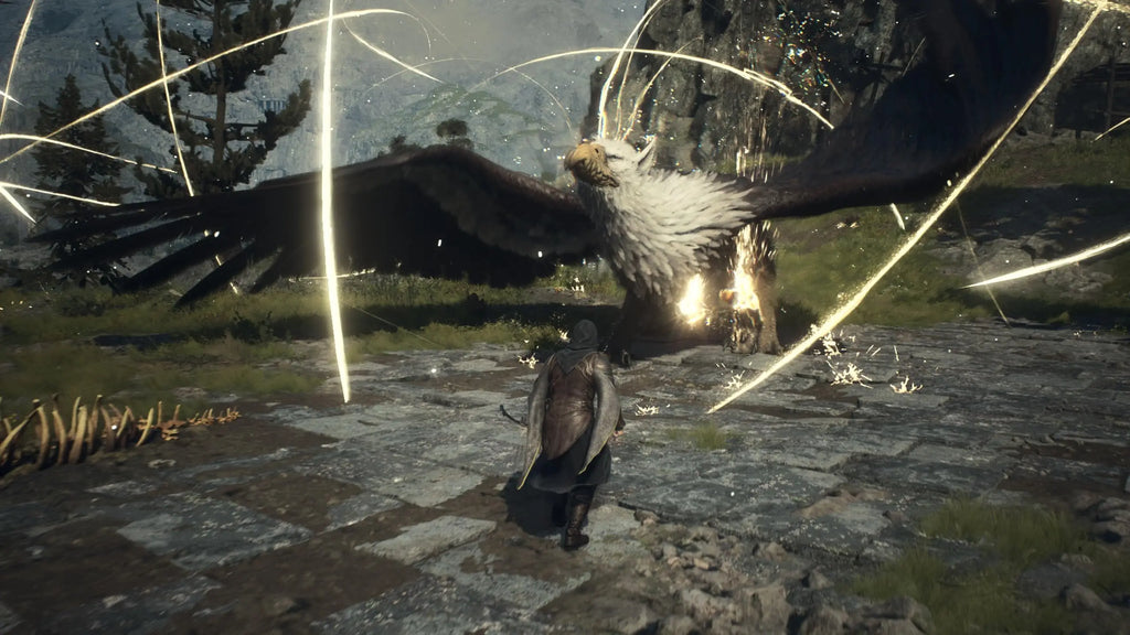 Dragon's dogma 2 for ps5 (playstation 5) – new physical game | pal germany | languages: spanish, english, french, german, italian, portuguese