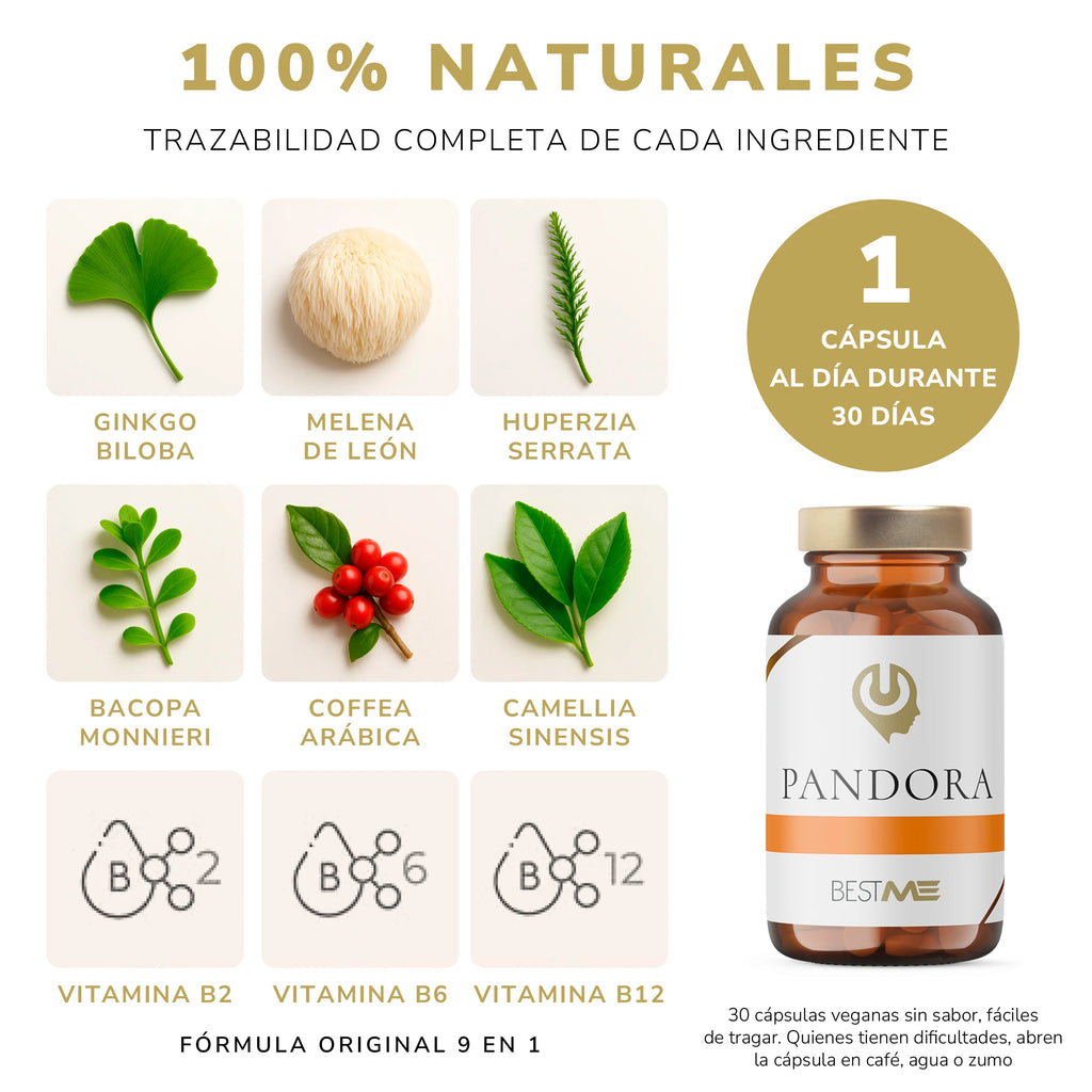 BESTME LAB - Nootrópico【9 en 1】100 % Natural, Ginkgo Biloba, Melena de León, Bacopa, Cafeína, Vitamina B12, 30 Cápsulas