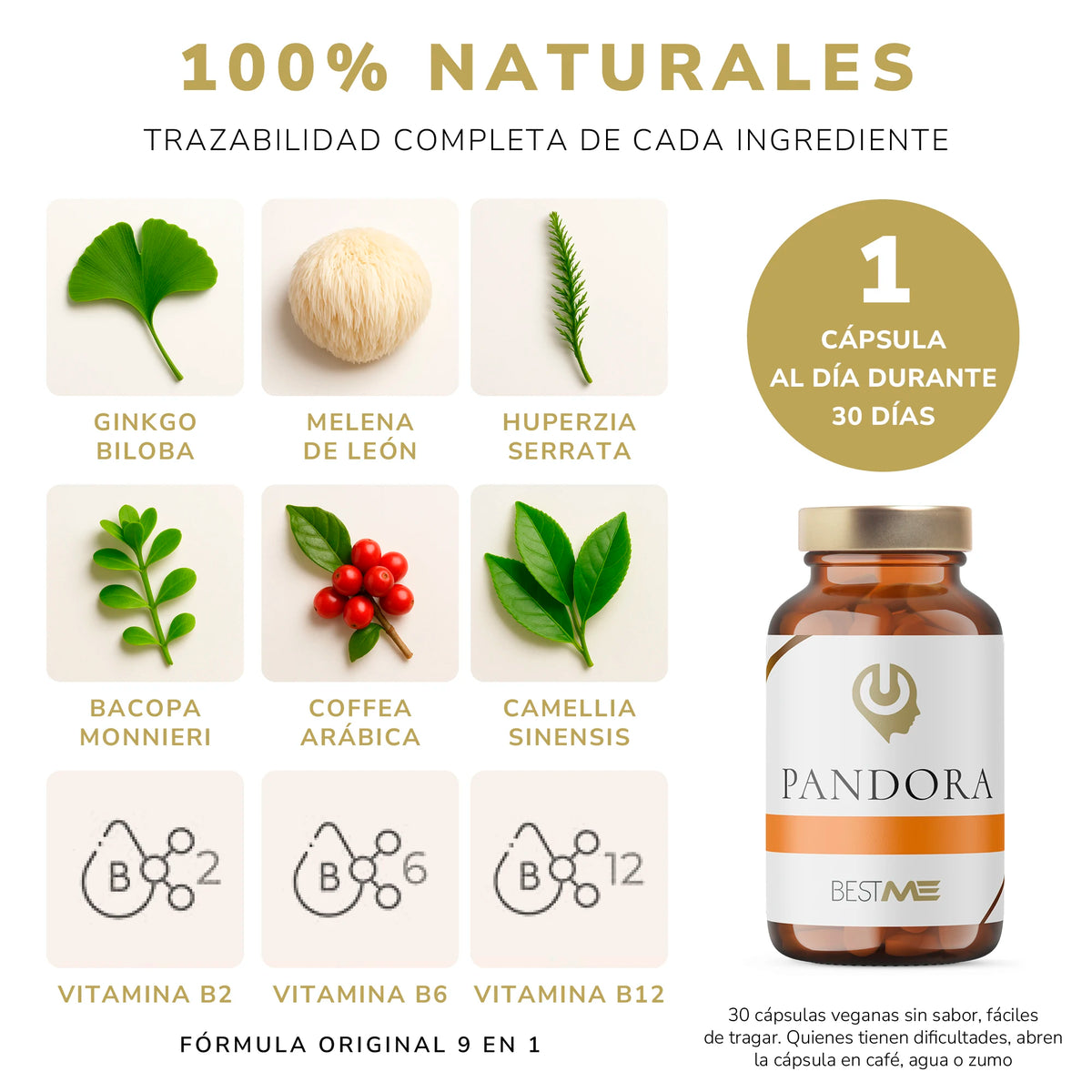 BESTME LAB - Nootrópico【9 en 1】100 % Natural, Ginkgo Biloba, Melena de León, Bacopa, Cafeína, Vitamina B12, 30 Cápsulas