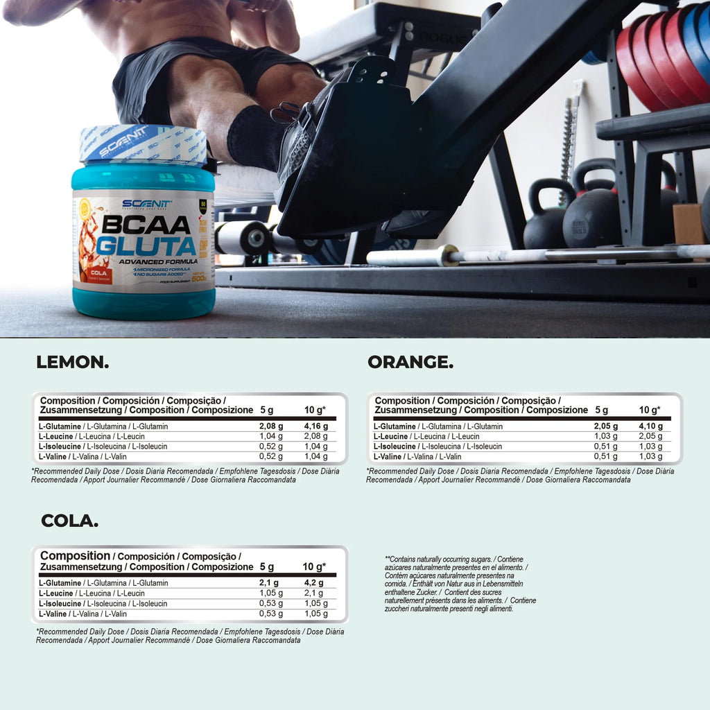 BCAA Glutamina - Scenit BCAA GLUTA - 500 g - BCAA Glutamine - Aminoacidos ramificados con glutamina - Aminoacidos bcaa y glutamina - BCAAs aminoacidos - Aminoacidos ramificados en polvo