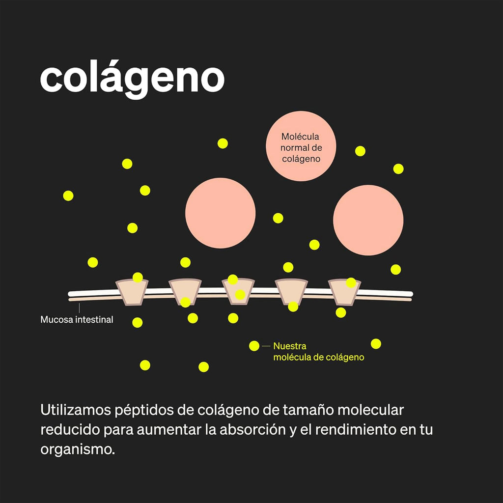 PRIMAL ASSAULT | Colágeno Ácido Hialurónico - Hidrolizado + Biotina + Q10 - Piel Cartílago - Vit C D B12 y Zinc - Collagen Complex - 60 Cápsulas