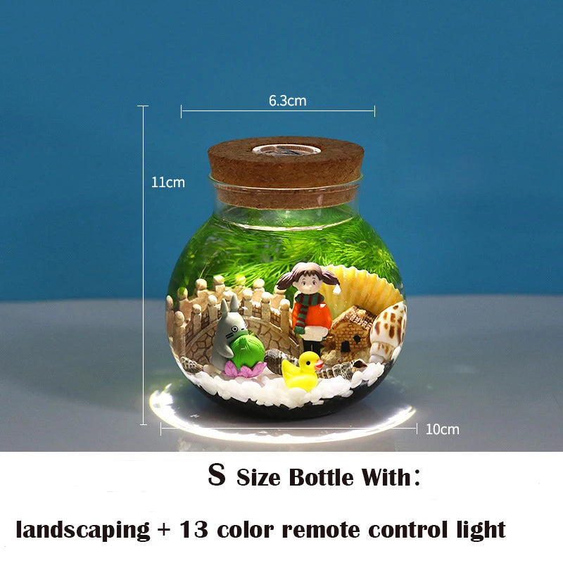 Portable Ecological Bottle Micro Landscape Aquarium Landscape Bucket Fish Tank Office Desktop Glass Ecological Bottle Fish Tank