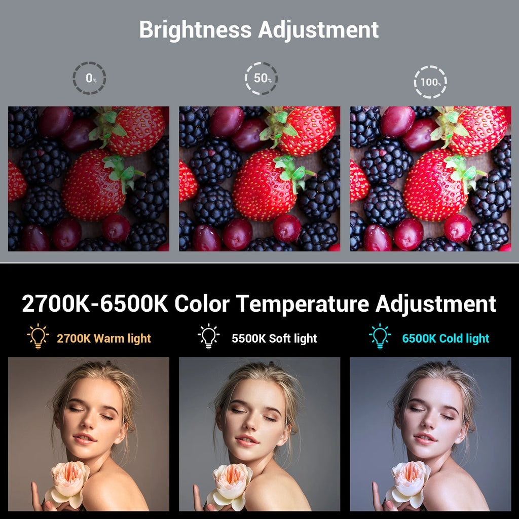 SmallRig-Luz LED portátil para cámara de vídeo, 96 cuentas LED para fotografía, iluminación de vídeo, recargable, 2200mAh, CRI 95 + 2700-6500K