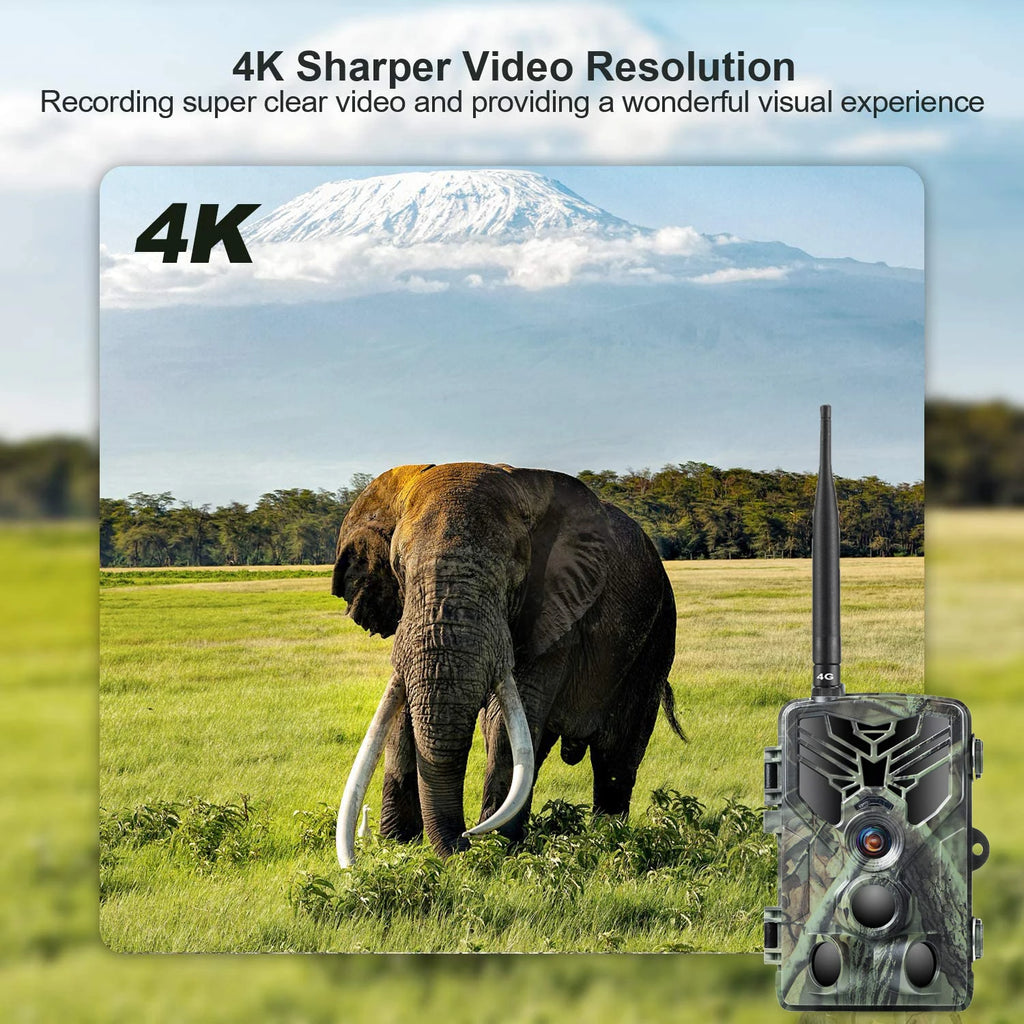 Cámara de rastreo con aplicación de vídeo en vivo 4K, servicio en la nube, cámaras de caza de Vida Silvestre, transmisión multimedia 4G, inalámbrica, visión nocturna de 30MP, HC810PRO