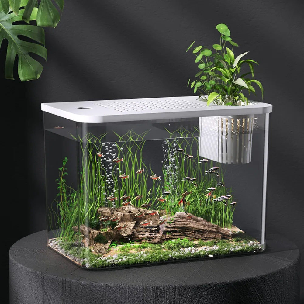 Acuario nuevo de PET+ABS transparente con tapa, resistente a caídas, tanque hidropónico, tanque para tortugas, hogar