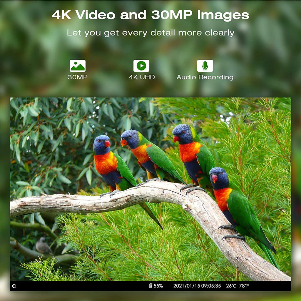 Cámara de rastreo con aplicación de vídeo en vivo 4K, servicio en la nube, cámaras de caza de Vida Silvestre, transmisión multimedia 4G, inalámbrica, visión nocturna de 30MP, HC810PRO