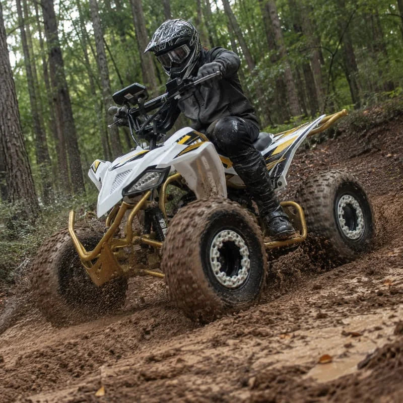 Buggy Todoterreno Personalizado para Adultos, Vehículo Deportivo de Cuatro Ruedas, ATV, Quad, Vehículo de Aventura Todoterreno, Listo para el Terreno Accidentado, Alto Rendimiento