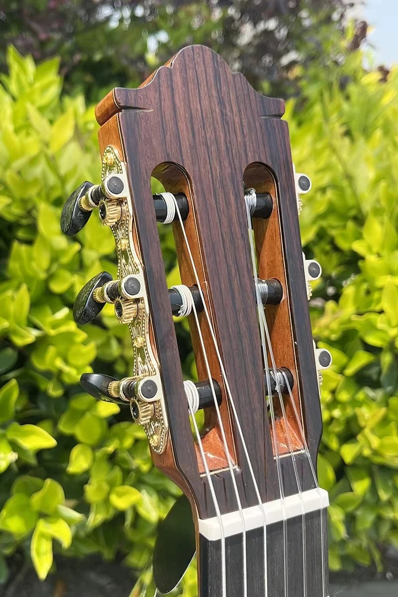 Guitarra Clásica Eléctrica Aiersi de Alta Calidad, Tapa de Cedro Macizo, Acabado Brillante, Cutaway, para Amantes de la Música