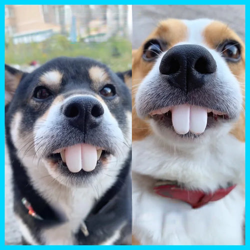 Dientes postizos para perros, dentaduras postizas divertidas, suministros de decoración para mascotas, Cosplay de Halloween, juguetes para humanos y vampiros, dentaduras postizas divertidas y difíciles