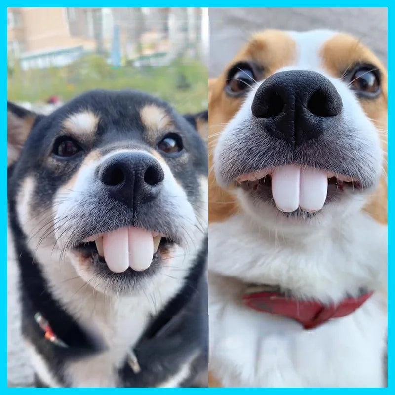 Dientes postizos para perros, dentaduras postizas divertidas, suministros de decoración para mascotas, Cosplay de Halloween, juguetes para humanos y vampiros, dentaduras postizas divertidas y difíciles