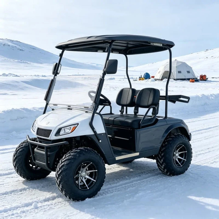 Buggy de Playa con Neumáticos Todoterreno, ATV Quad de 250cc 4x4 para Arena, Dunas y Desierto, ATV Eléctrico de Alta Velocidad Personalizado