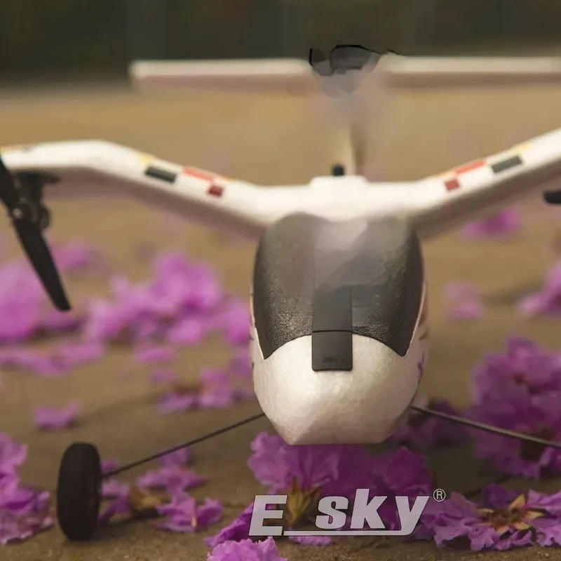Nuevo 2024 ESKY Seagull BTF/RTF avión RC de ala fija modelo de Control remoto de autoestabilización de 6 ejes para practicar principiantes