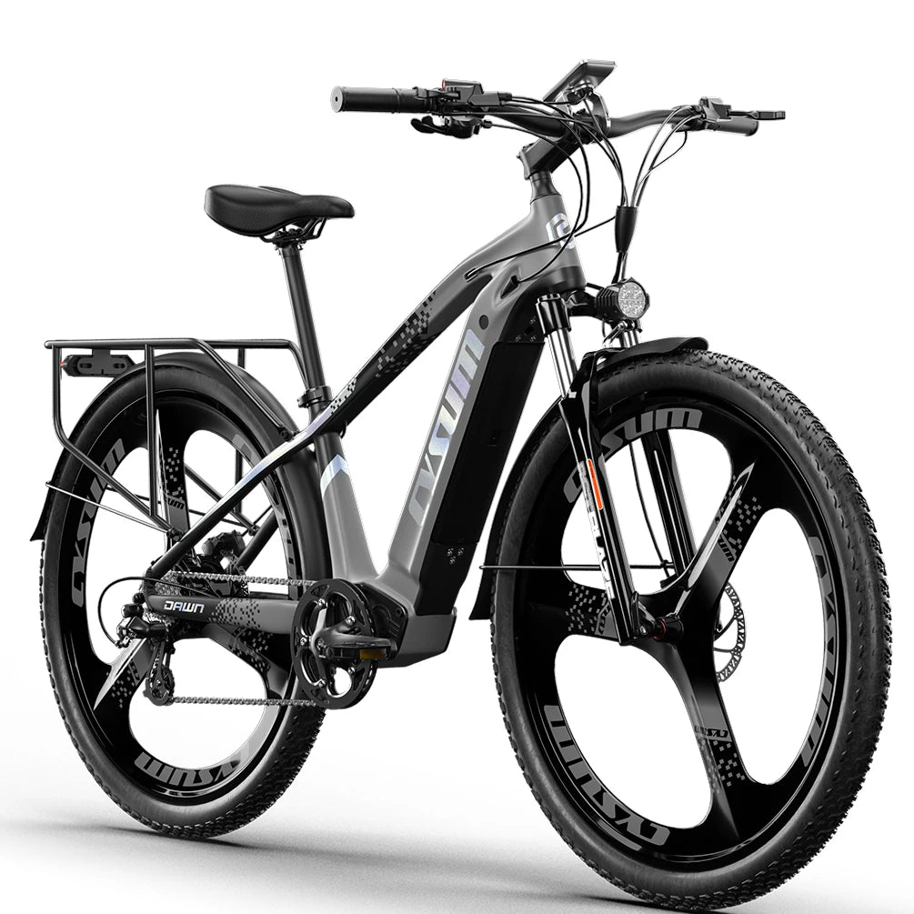 Cysum Speedy 29 pouces 250W E-Bike 48V 14Ah LG Battery 85km Range, 29-Inch Tires Hydraulic Disc Brakes 25km/h for Trail