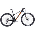 Carbon Fiber 29er Hardtail MTB with Aluminum Alloy Suspension Fork 12 Speed Disc Brake Lightweight Cross Country Trail Bike