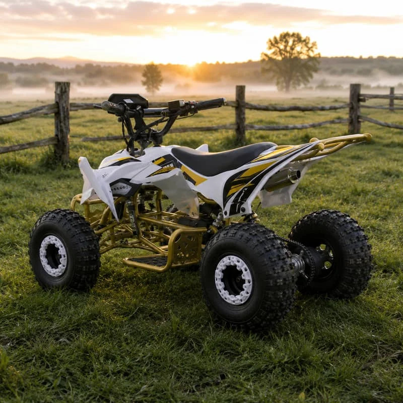 Buggy Todoterreno Personalizado para Adultos, Vehículo Deportivo de Cuatro Ruedas, ATV, Quad, Vehículo de Aventura Todoterreno, Listo para el Terreno Accidentado, Alto Rendimiento