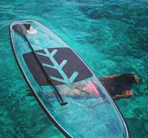 Tabla de paddle surf transparente con base transparente de material PC cristalino para deportes acuáticos.