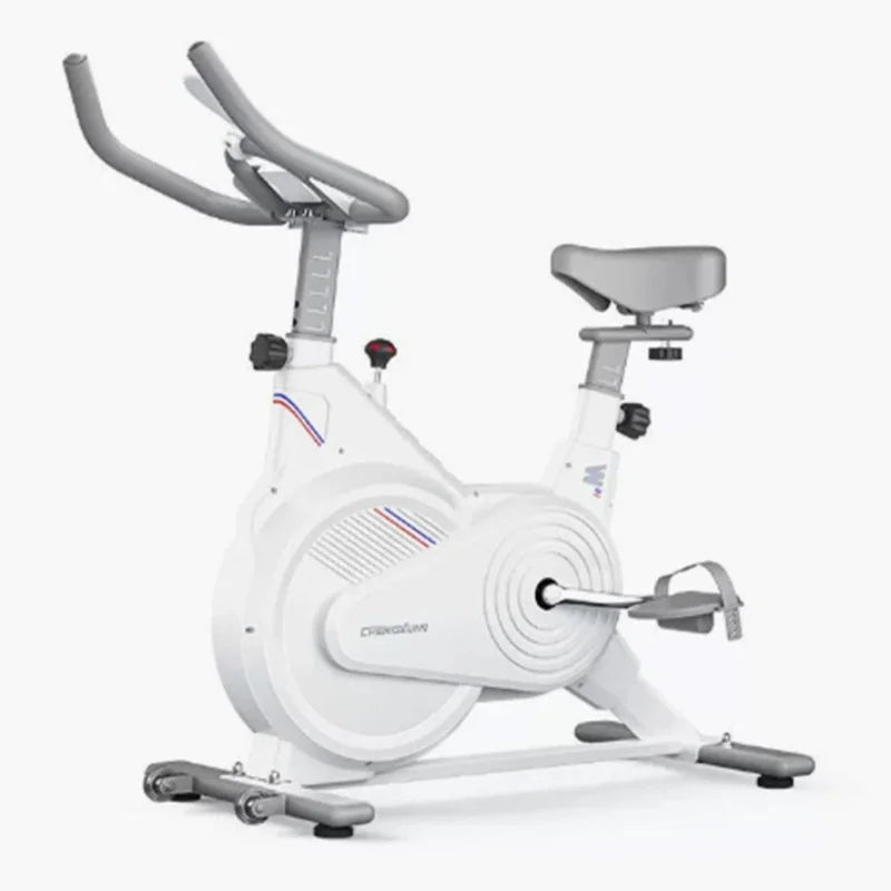 Bicicleta Estática de Spinning para Interiores, Bicicleta de Ejercicio con Resistencia Magnética Silenciosa y Monitor LCD, Equipo de Ejercicio Cardiovascular para Gimnasio en Casa
