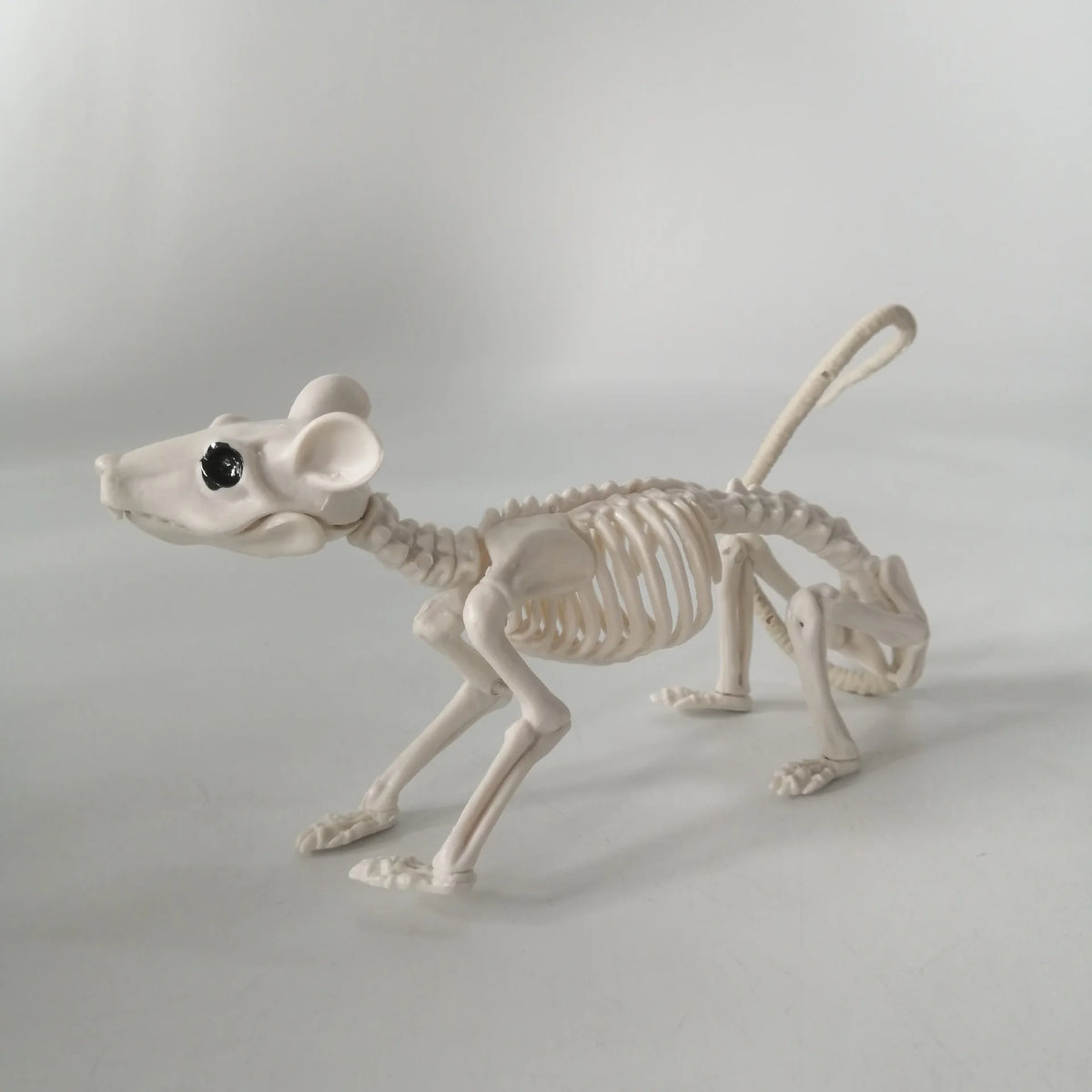 Decoraciones de Halloween: Esqueletos Realistas con Murciélagos y Escorpiones, Huesos de Animales de Plástico para Casas Encantadas, Bares y Bromas