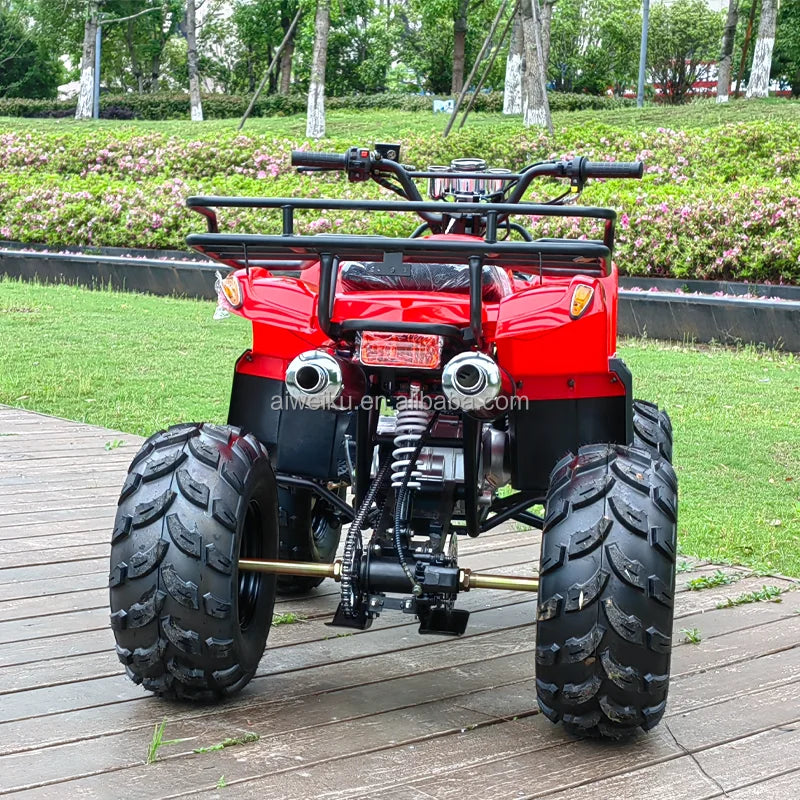 ATV Todoterreno de 125cc, Motocicleta de Cuatro Ruedas, Bicicleta de Montaña para Adultos, ATV Quad con Transmisión por Cadena, 125c