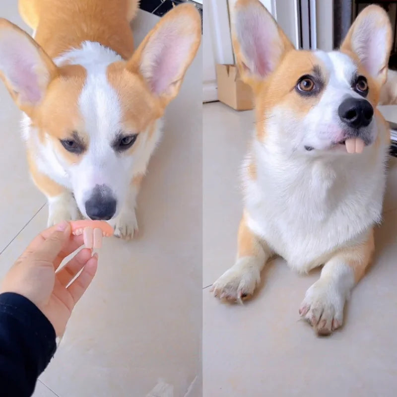 Dientes postizos para perros, dentaduras postizas divertidas, suministros de decoración para mascotas, Cosplay de Halloween, juguetes para humanos y vampiros, dentaduras postizas divertidas y difíciles