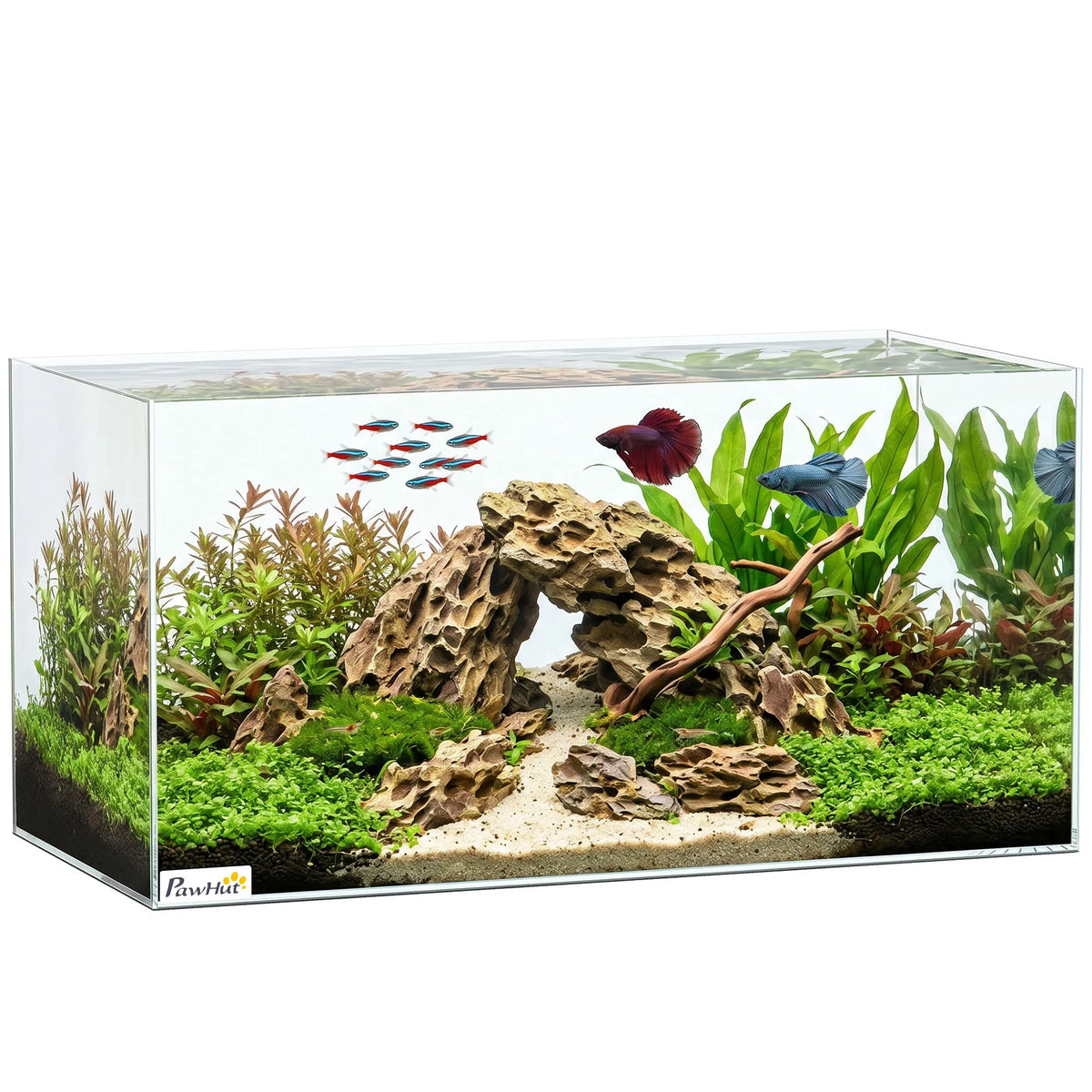 Pawhut Fish Tank Aquarium 51 L, Glass Fish Tank with Protective Mat, for Fish, Shrimp and Turtles, Transparent