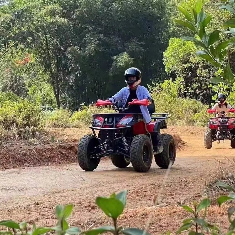 Buggy Todoterreno Premium para Adultos, ATV Personalizado de Cuatro Ruedas, Vehículo Deportivo Todoterreno con Gran Distancia al Suelo
