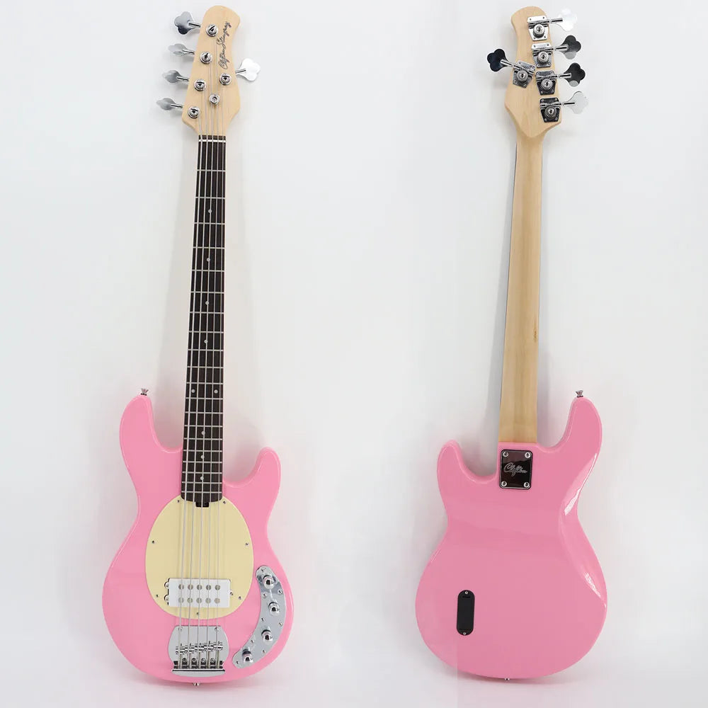 Bajo con pastilla Humbucker de 5 cuerdas, bajo de alta calidad, bajo eléctrico activo, 22 trastes, 2v2t