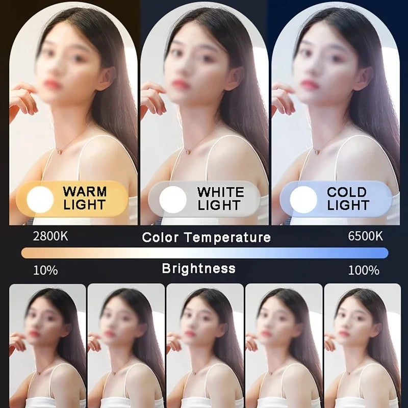 Panel de iluminación regulable para estudio fotográfico, lámpara de relleno de transmisión en vivo, sin soporte para trípode, 10 pulgadas