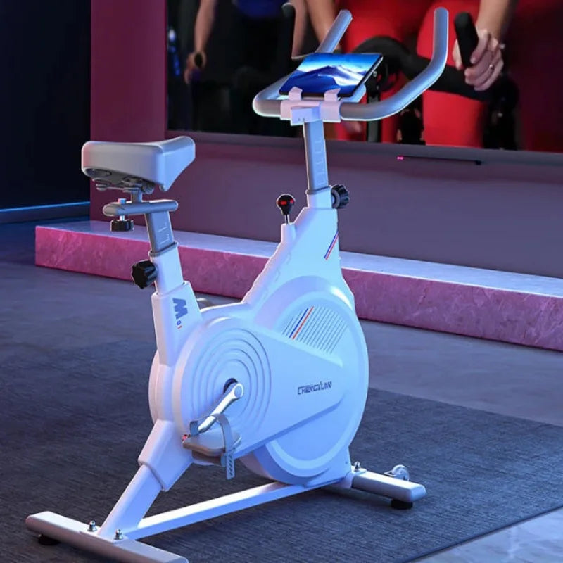 Bicicleta Estática de Spinning para Interiores, Bicicleta de Ejercicio con Resistencia Magnética Silenciosa y Monitor LCD, Equipo de Ejercicio Cardiovascular para Gimnasio en Casa