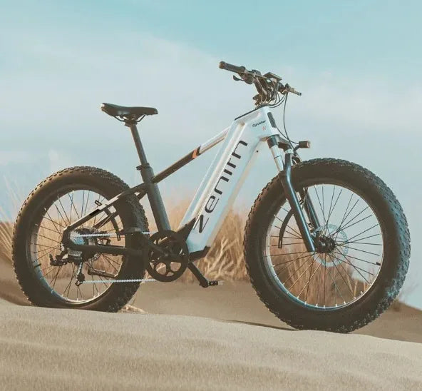 Cyrusher Zenith Adult Electric Bike 250w Motor 52V15Ah Battery 25Km/h Max Speed 96Km Range Shock Absorber 26 Inch Tire