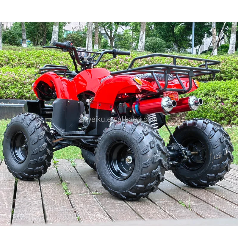 ATV Todoterreno de 125cc, Motocicleta de Cuatro Ruedas, Bicicleta de Montaña para Adultos, ATV Quad con Transmisión por Cadena, 125c
