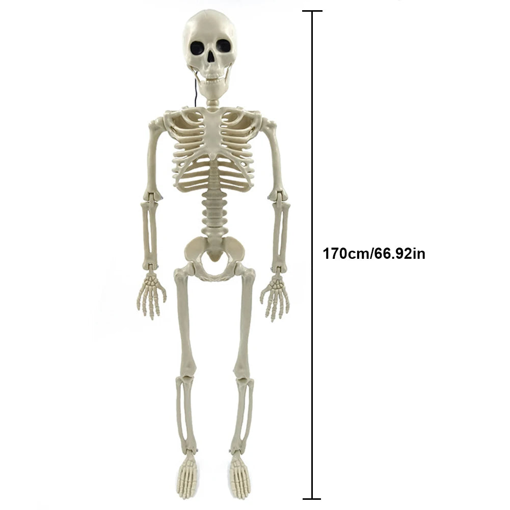 Estatua de esqueleto de terror para Halloween con articulaciones móviles/posables, adorno de calavera aterrador, temática de Halloween para jardín, patio o casa embrujada