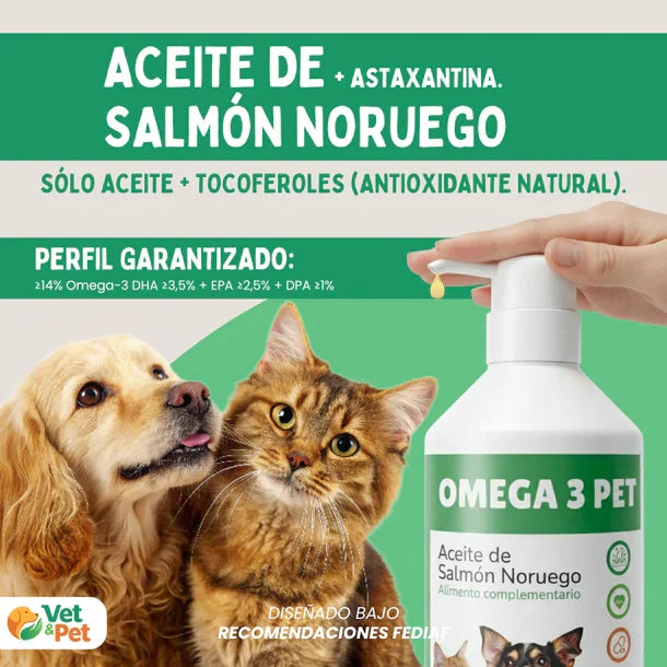Aceite de Salmón Noruego con Omega-3 250ml (EPA, DHA, DPA) para Perros y Gatos - Bioactive, Alto Contenido en Ácidos Grasos, Soporte Articular, Cutáneo y Cognitivo, 100 % Natural con Astaxantina y Tocoferoles