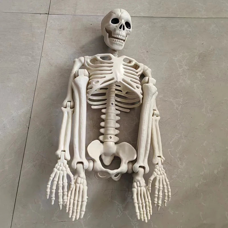 Esqueleto móvil de Halloween, huesos de calavera humana falsa, decoraciones para fiesta de Halloween, Bar en casa, Casa Encantada, accesorios de terror, juguetes ornamentales