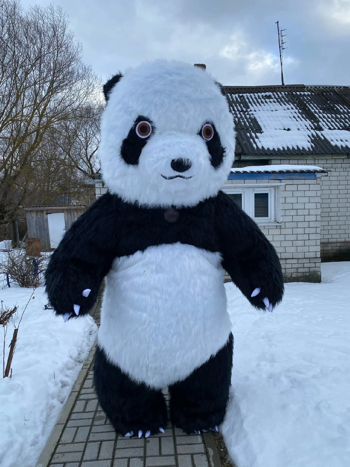 Nuevo disfraz inflable de Panda gigante, disfraz de mascota de oso Polar divertido de calle, disfraz de Fursuit inflable para adultos de Halloween
