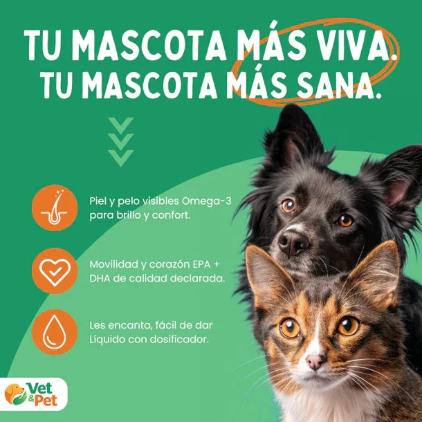 Aceite de Salmón Noruego con Omega-3 250ml (EPA, DHA, DPA) para Perros y Gatos - Bioactive, Alto Contenido en Ácidos Grasos, Soporte Articular, Cutáneo y Cognitivo, 100 % Natural con Astaxantina y Tocoferoles