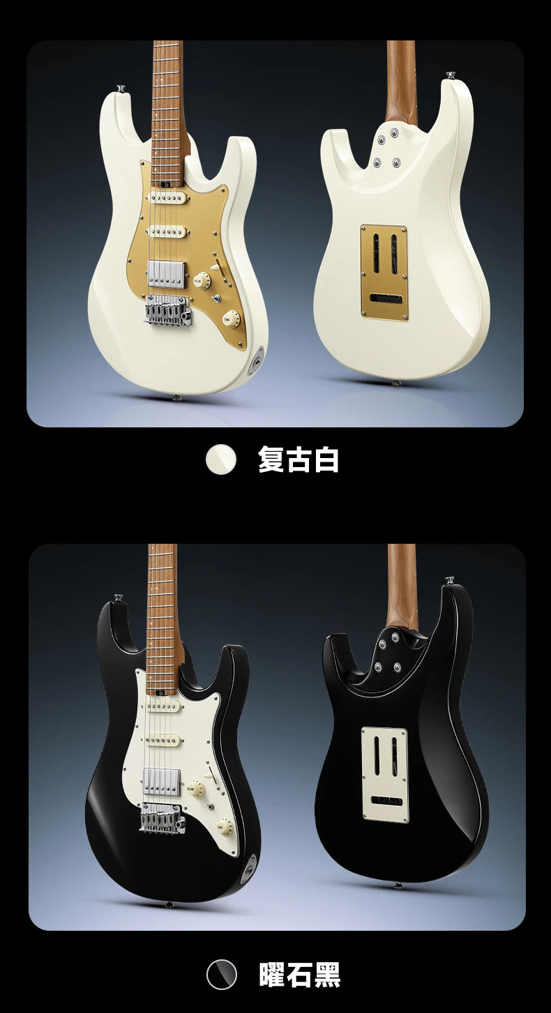 Guitarra Eléctrica de Nivel Profesional