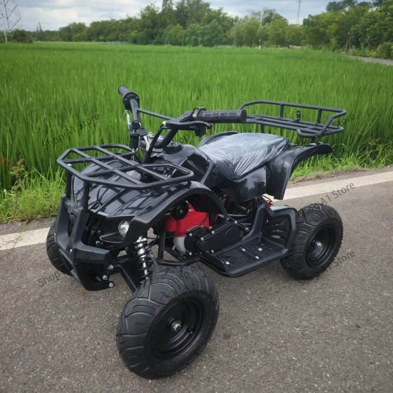 Cuatrimoto ATV de 49 cc con motor de gasolina de 2 tiempos, vehículo todoterreno de cuatro ruedas para la playa, apto para niños y adultos.