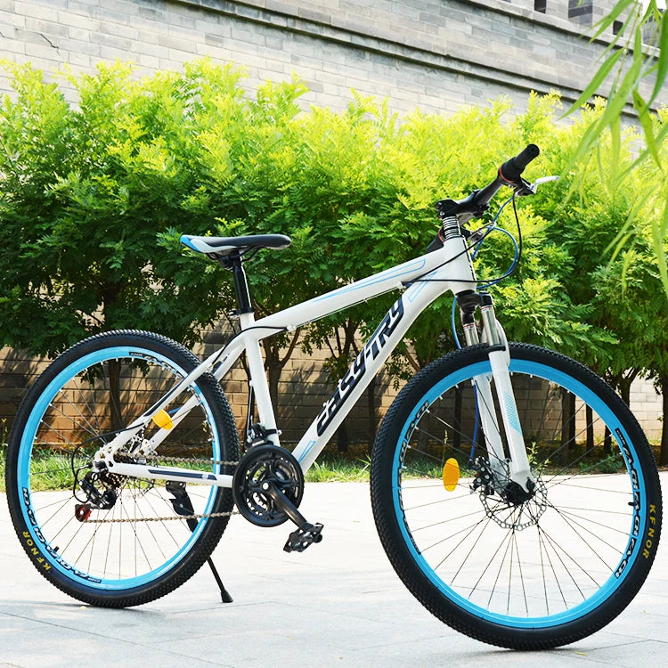 MTB Bikes with 21 Speeds Sports Mountain Bicycle from China Factory Featuring Disc Brake & Steel Fork