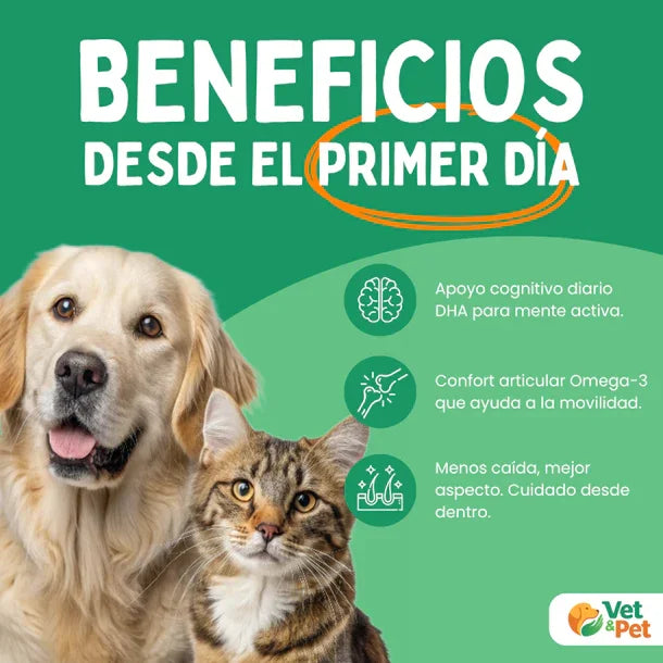 Aceite de Salmón Noruego con Omega-3 250ml (EPA, DHA, DPA) para Perros y Gatos - Bioactive, Alto Contenido en Ácidos Grasos, Soporte Articular, Cutáneo y Cognitivo, 100 % Natural con Astaxantina y Tocoferoles