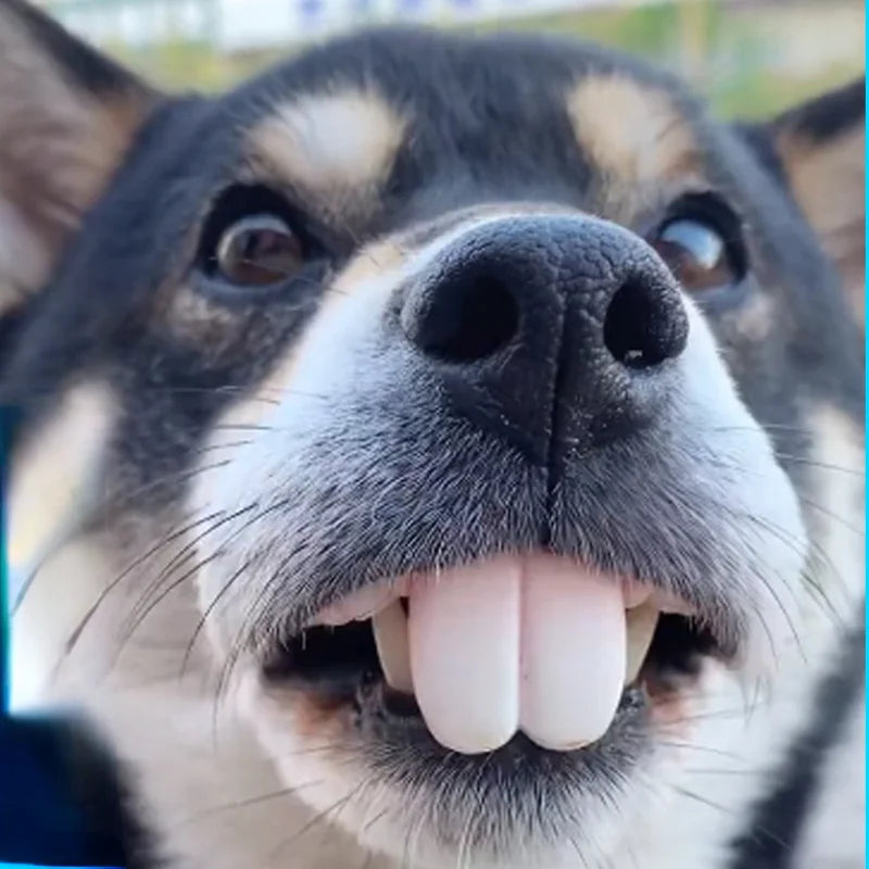 Dientes postizos para perros, dentaduras postizas divertidas, suministros de decoración para mascotas, Cosplay de Halloween, juguetes para humanos y vampiros, dentaduras postizas divertidas y difíciles